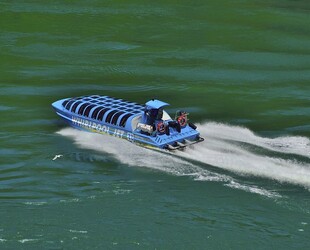 SPEED DATES WITH RAPIDS: WHIRLPOOL JETBOAT TOURS